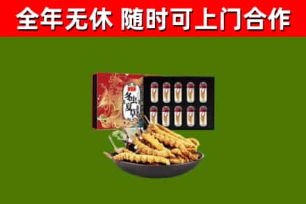 康保县回收冬虫夏草价格