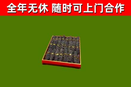 康保县回收海参